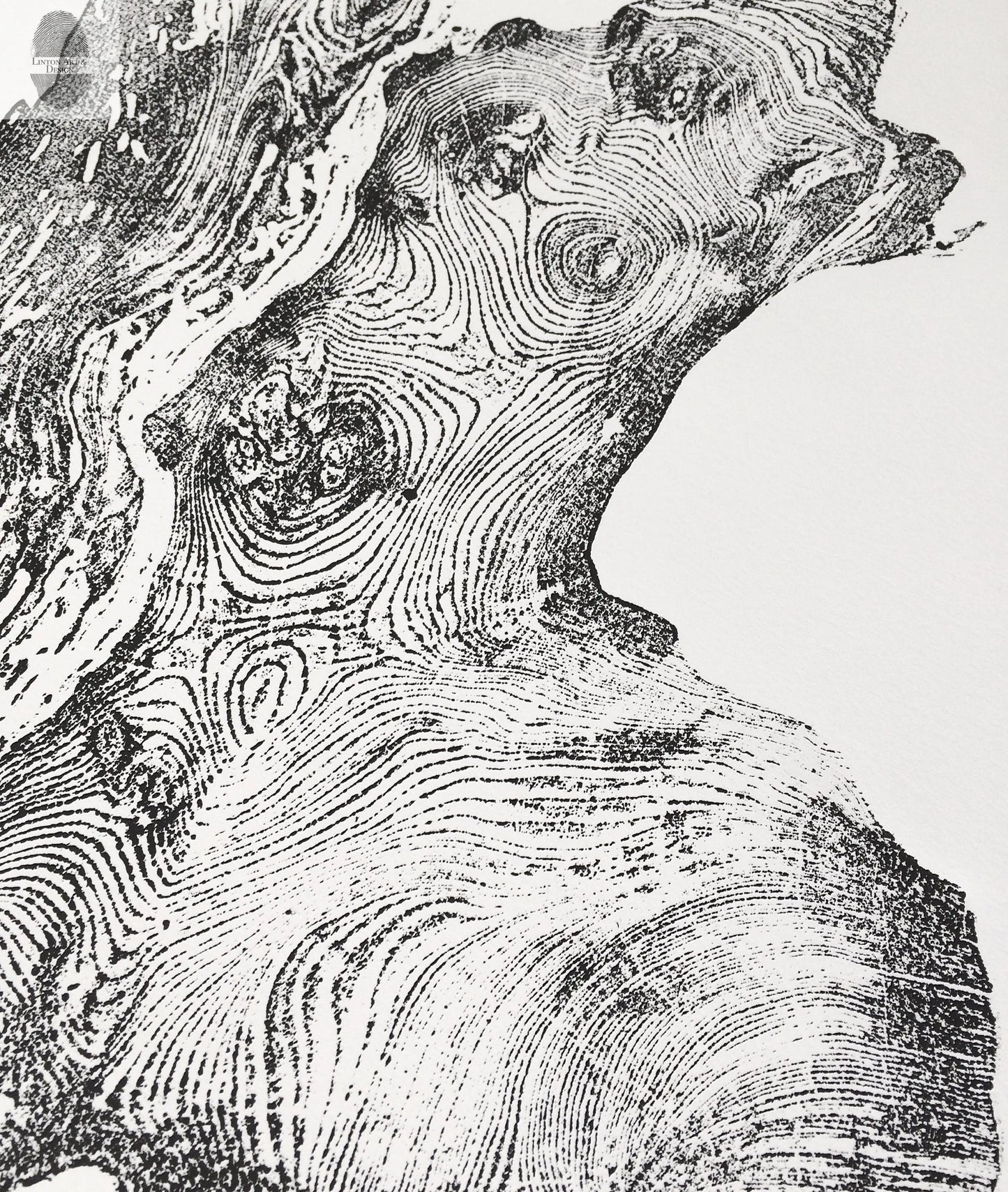 Redwood Burl, Tree Ring Print, Woodcut print, Tree of Life, , 24x36 print, Signed original Print lintonart