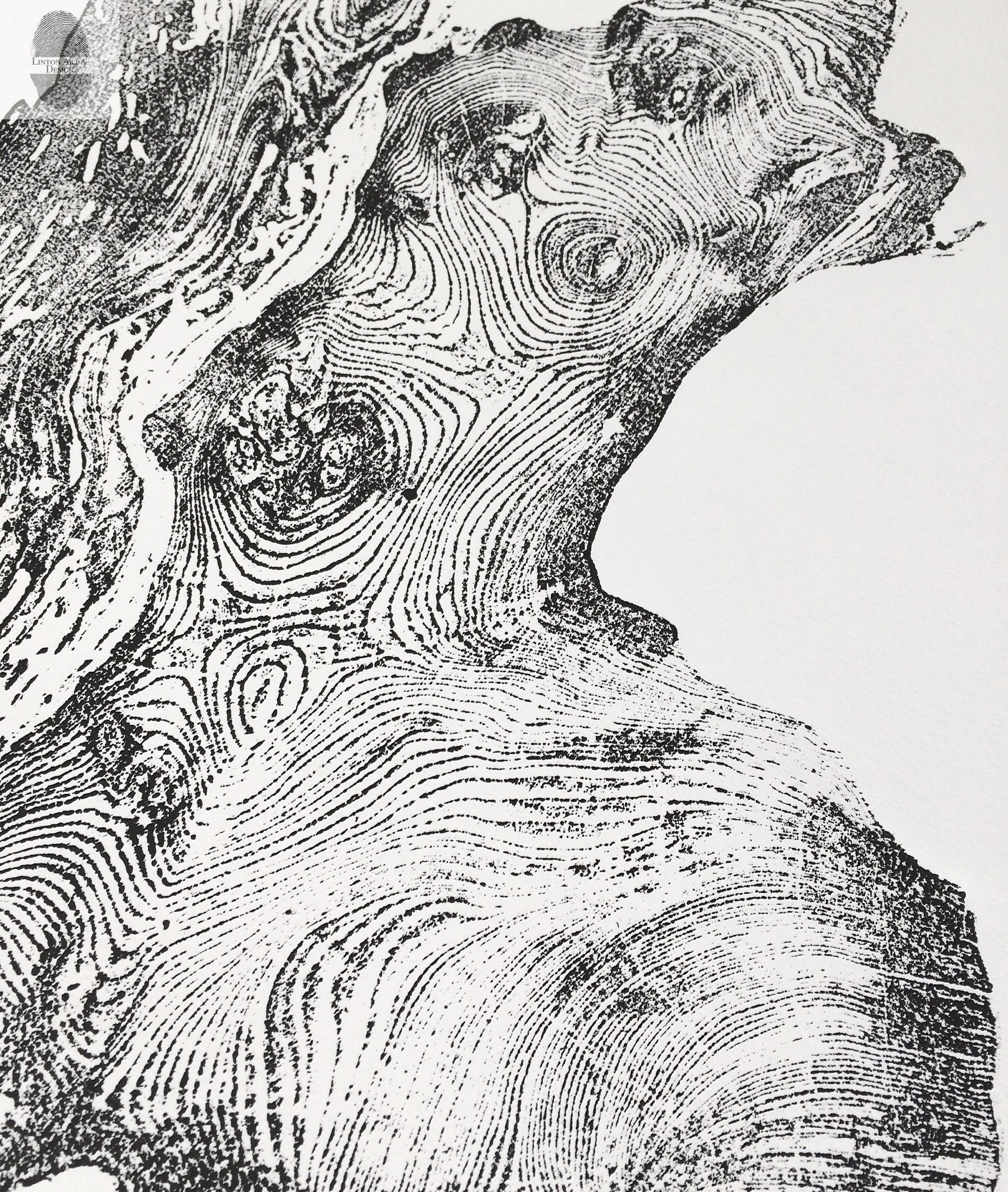 Redwood Burl, Tree Ring Print, Woodcut print, Tree of Life, , 24x36 print, Signed original Print lintonart