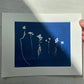 Sapplings and Roots Hand Pressed Botanical Monoprint on Blue - 11x14 giclee print lintonart