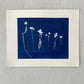 Sapplings and Roots Hand Pressed Botanical Monoprint on Blue - 11x14 giclee print lintonart