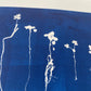 Sapplings and Roots Hand Pressed Botanical Monoprint on Blue - 11x14 giclee print lintonart