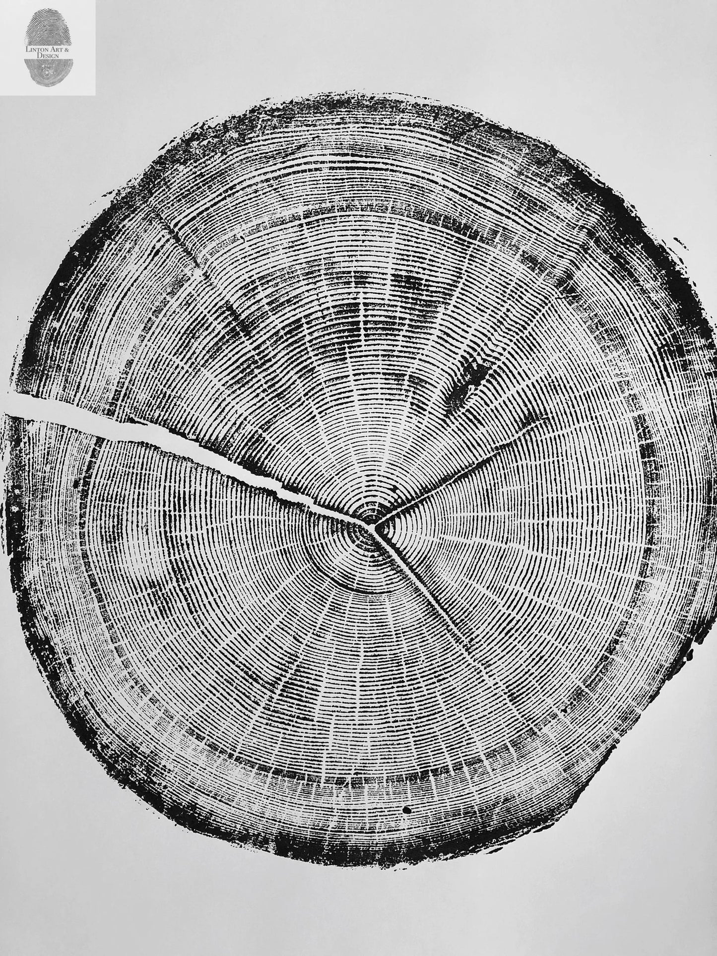 Snowbird Ski Resort, Cottonwood Canyon, Utah Douglas Fir- 24x36 print lintonart