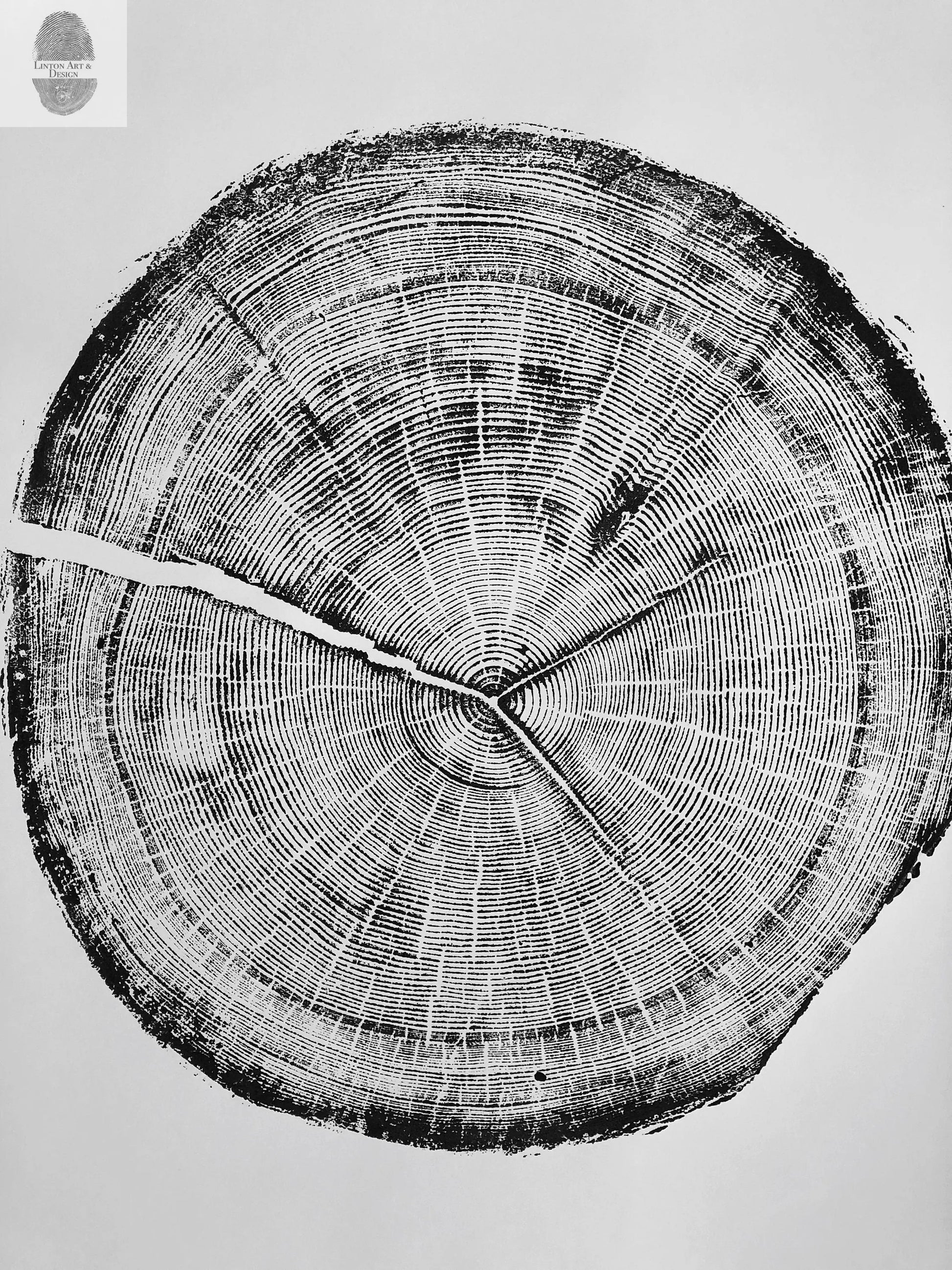 Snowbird Ski Resort, Cottonwood Canyon, Utah Douglas Fir- 24x36 print lintonart