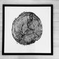 Sundance Canyon, Utah, White Pine - 36x36 print lintonart
