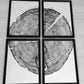 Sundance Canyon, Utah, White Pine Set of 4 - 12x16 each print lintonart