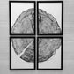 Sundance Canyon, Utah, White Pine Set of 4 - 12x16 each print lintonart