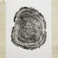 Three Panel Wall Art, Tree Blocks, Woodcut print, Tree hugger gift, Signed Original 18x24 inches lintonart