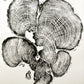 Three Panel Wall Art, Tree Blocks, Woodcut print, Tree hugger gift, Signed Original 18x24 inches lintonart