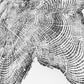 Tillamook, Oregon Coast Driftwood - 24x36 print lintonart