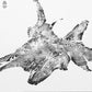 Tree Roots Set of 3 - 18x24 each print lintonart