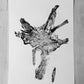 Tree Roots Set of 3 - 18x24 each print lintonart