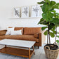 Tree Roots Set of 3 - 18x24 each print lintonart