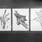 Tree Roots Set of 3 - 18x24 each print lintonart