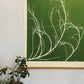 Tumbleweed Hand Pressed Botanical Monoprint on Green - giclee print lintonart