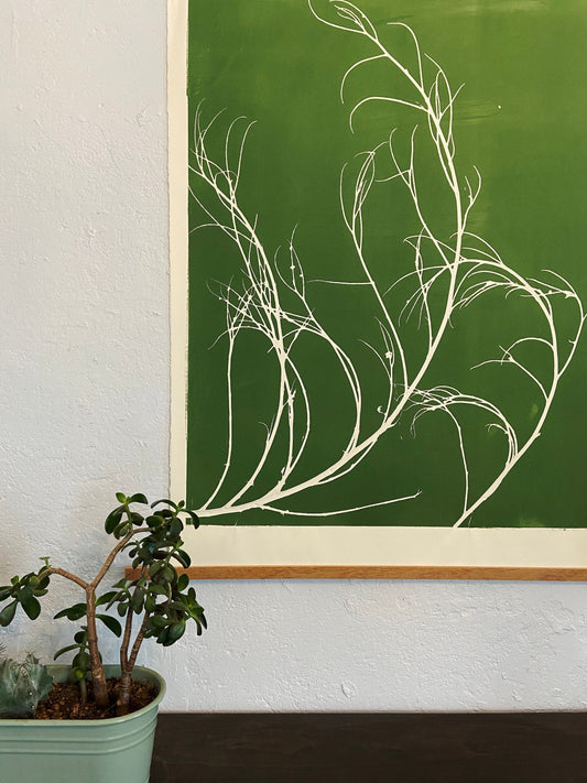 Tumbleweed Hand Pressed Botanical Monoprint on Green - giclee print