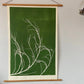 Tumbleweed Hand Pressed Botanical Monoprint on Green - giclee print lintonart