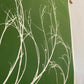 Tumbleweed Hand Pressed Botanical Monoprint on Green - giclee print lintonart