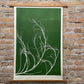 Tumbleweed Hand Pressed Botanical Monoprint on Green - giclee print lintonart