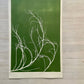 Tumbleweed Hand Pressed Botanical Monoprint on Green - giclee print lintonart