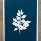 Southwest Tree Branch Hand Pressed Botanical Monoprint on Blue - Original Print 15x19 inches