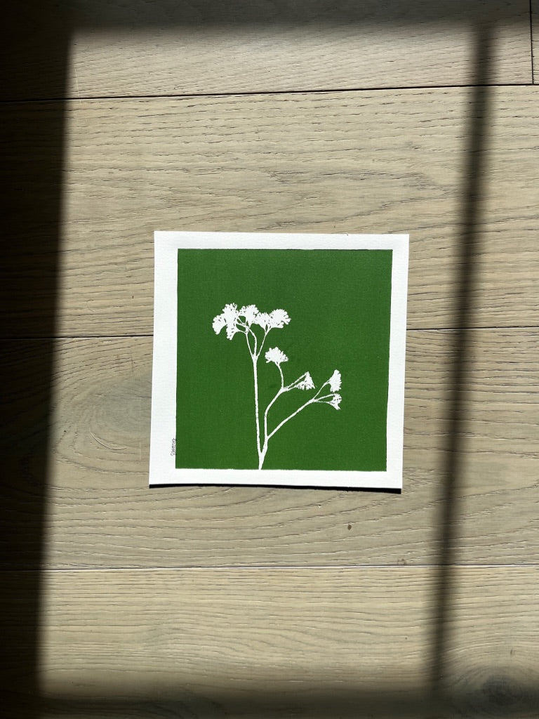 Wild Fennel Hand Pressed Botanical Monotype on Green I - Original Print 8x8 inches