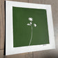 Wild Flower Hand Pressed Botanical Monotype on Green - Original Print 8x8 inches