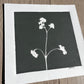 Wild Flower Hand Pressed Botanical Monotype Print on Charcoal Grey - Original Print 8 3/4 x 9 inches