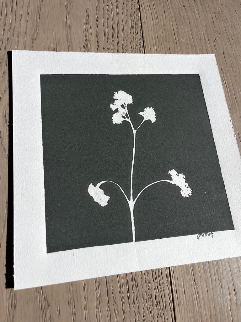 Wild Flower Hand Pressed Botanical Monotype Print on Charcoal Grey - Original Print 8 3/4 x 9 inches