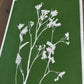 Wild Fennel Hand Pressed Botanical Monotype Print - Original Print 14 3/4 x19 inches