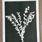 Wild Indigo Hand Pressed Botanical Monotype Print - Original Print 16x20 inches