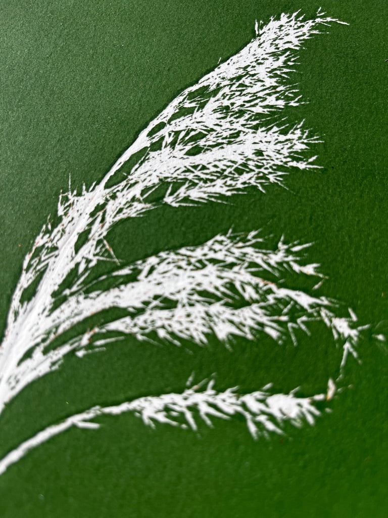 Pampas Grass Hand Pressed Botanical Monotype on Green - Original Print 9x9 inches