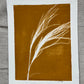 Pampas Grass Hand Pressed Botanical Monoprint on Yellow Gold - Original Print 11x14 inches