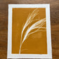 Pampas Grass Hand Pressed Botanical Monoprint on Yellow Gold - Original Print 11x14 inches