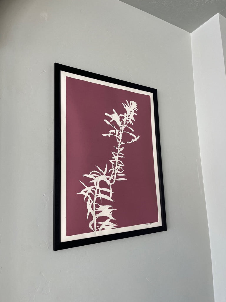 Meadow Goldenrod Hand Pressed Botanical Monoprint in Rose Pink - Original Print 18x24 inches