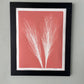 Pampas Grass Hand Pressed Botanical Monoprint on Blush Pink - Original Print 16x20 inches