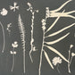 Wildflower Collage Hand Pressed Botanical Monoprint on Dark Green - Original 18x24 inches