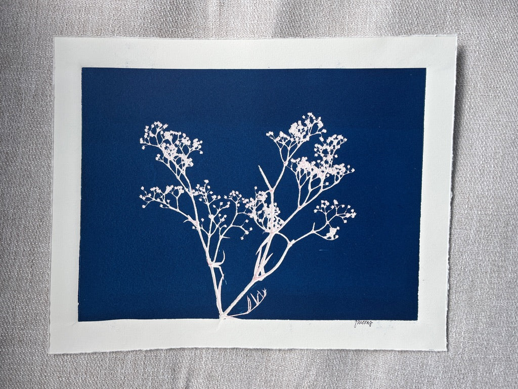 Baby's Breath Hand-Pressed Botanical Monotype on Navy Blue - Original Print 11x14 inches
