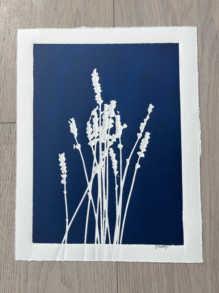 Dried Lavender Hand-Pressed Botanical Monotype on Navy Blue - Original Print 11x14 inches