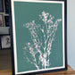 Baby's Breath Hand-Pressed Botanical Monotype on Sage Green - Original Print 18x24 inches
