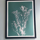 Baby's Breath Hand-Pressed Botanical Monotype on Sage Green - Original Print 18x24 inches