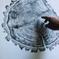Utah Art, Tree Ring Print, Ski Art, Lumber, Shabby Tree, Wood Slice Wall Art, Natural Wood Slices lintonart