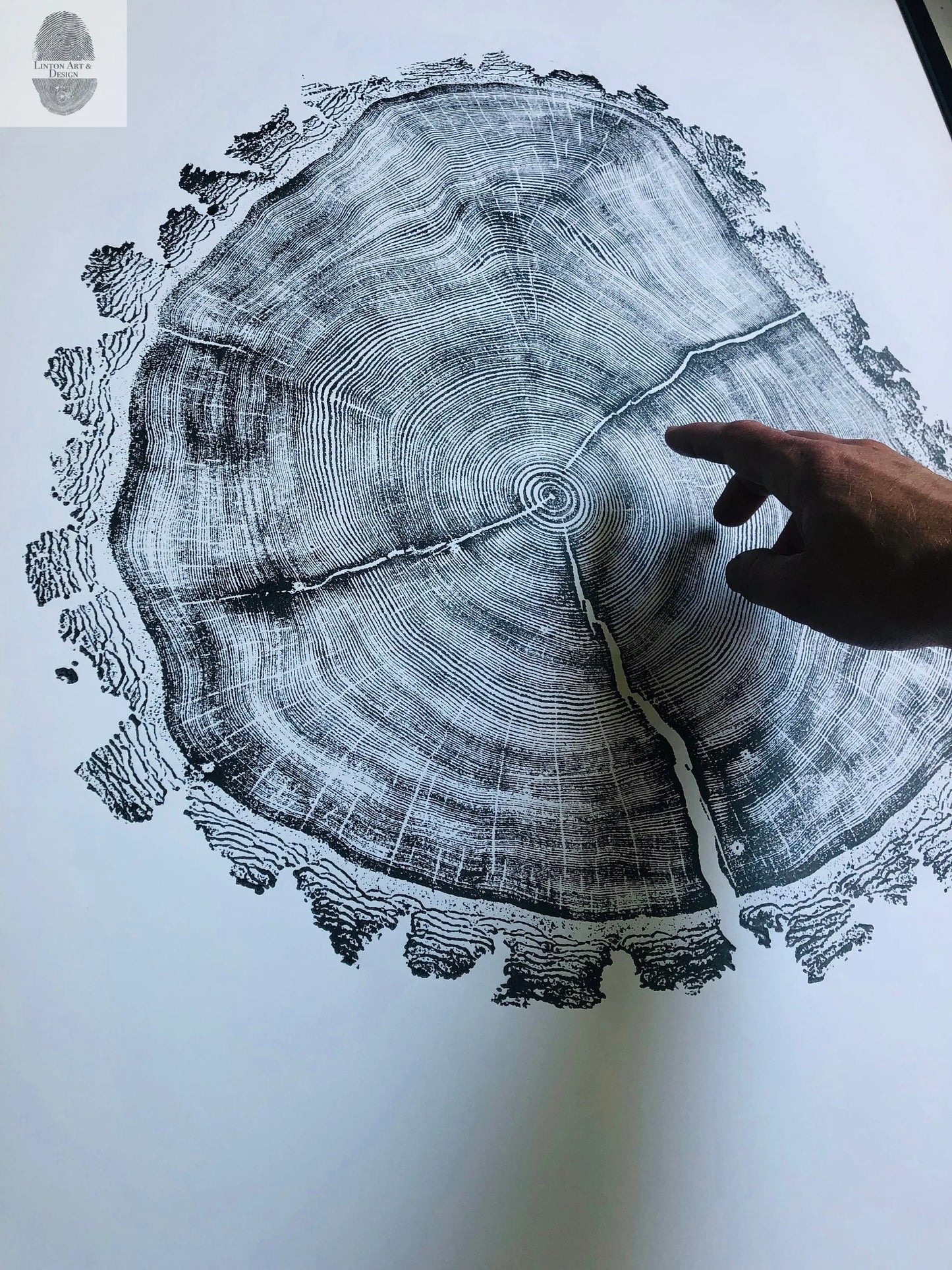 Utah Art, Tree Ring Print, Ski Art, Lumber, Shabby Tree, Wood Slice Wall Art, Natural Wood Slices lintonart