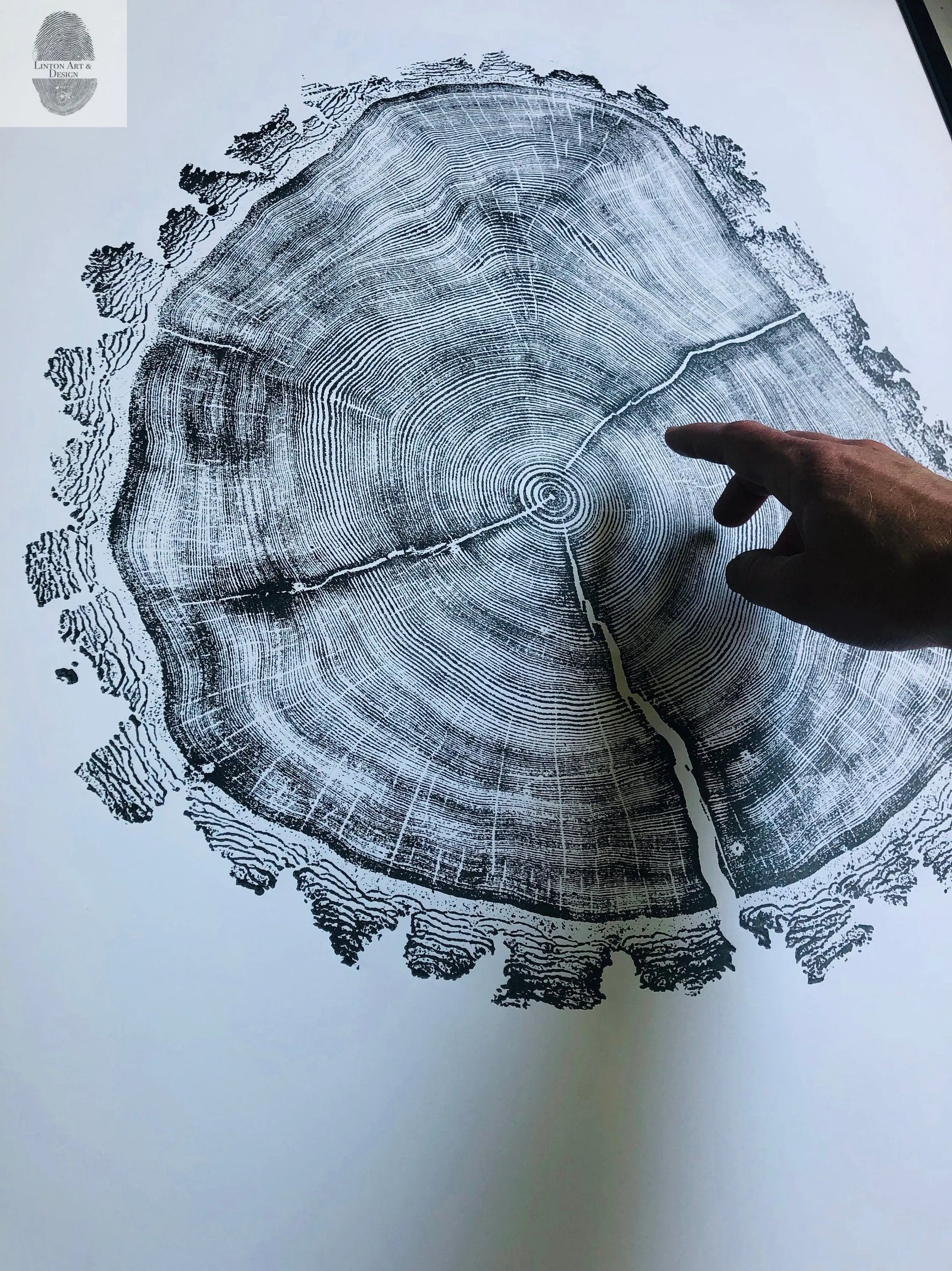 Utah Art, Tree Ring Print, Ski Art, Lumber, Shabby Tree, Wood Slice Wall Art, Natural Wood Slices lintonart