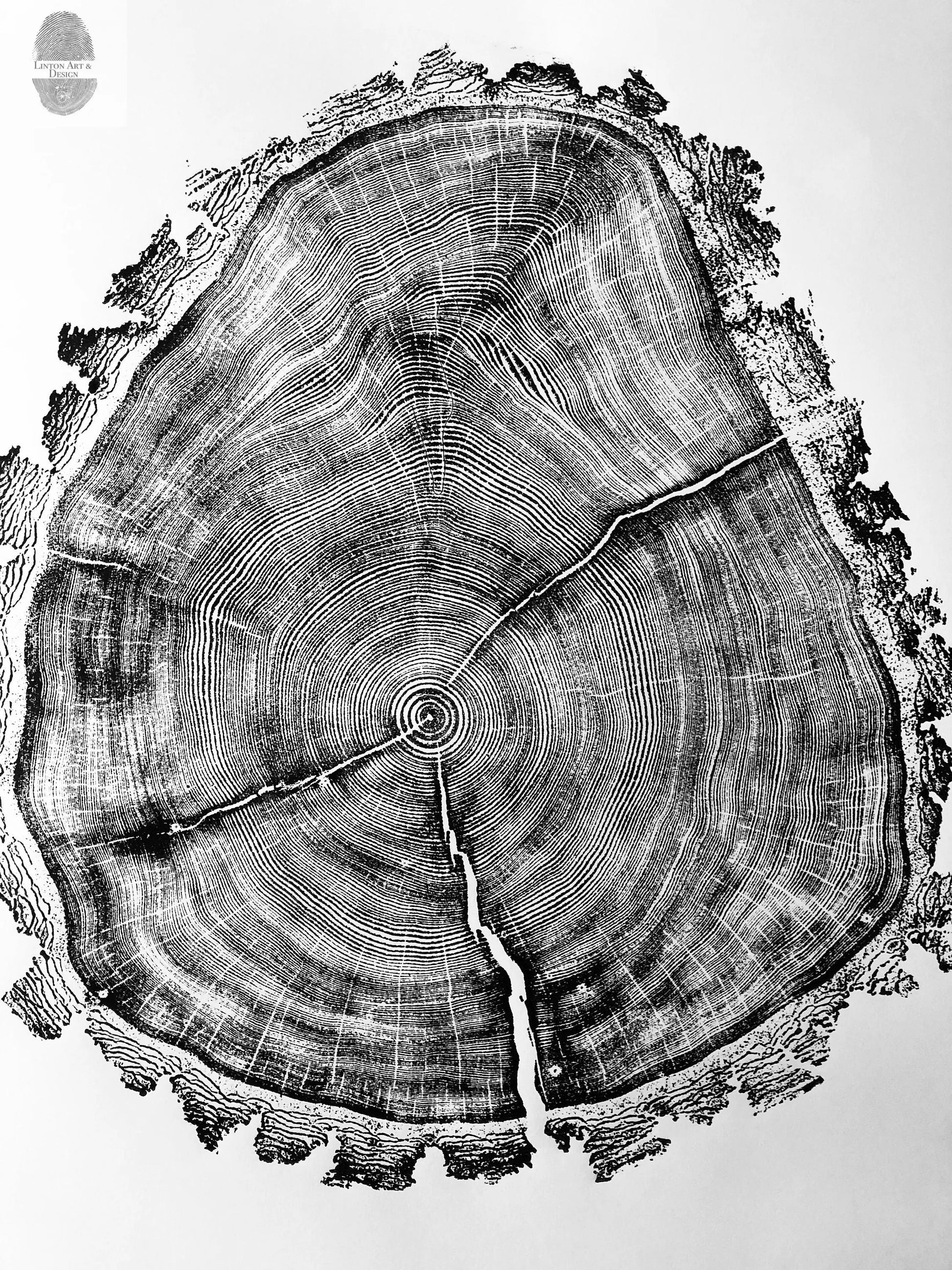 Utah Art, Tree Ring Print, Ski Art, Lumber, Shabby Tree, Wood Slice Wall Art, Natural Wood Slices lintonart