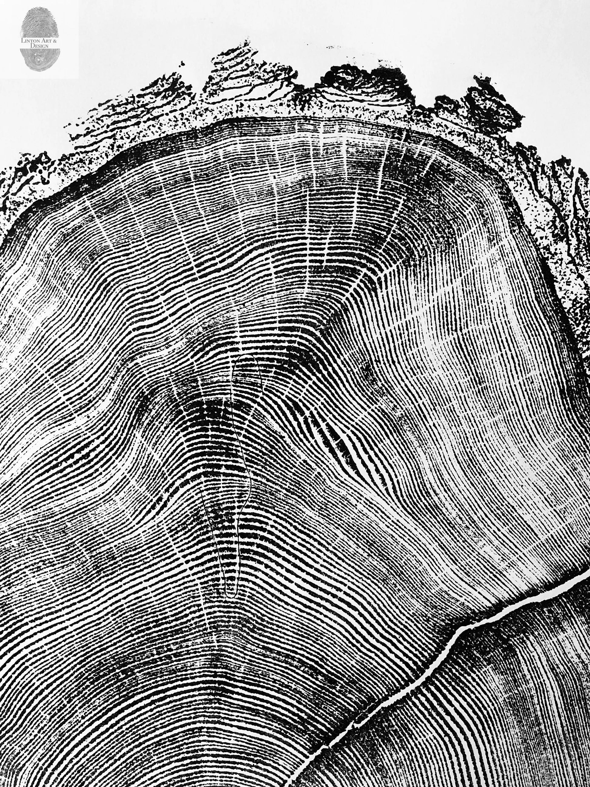 Utah Art, Tree Ring Print, Ski Art, Lumber, Shabby Tree, Wood Slice Wall Art, Natural Wood Slices lintonart