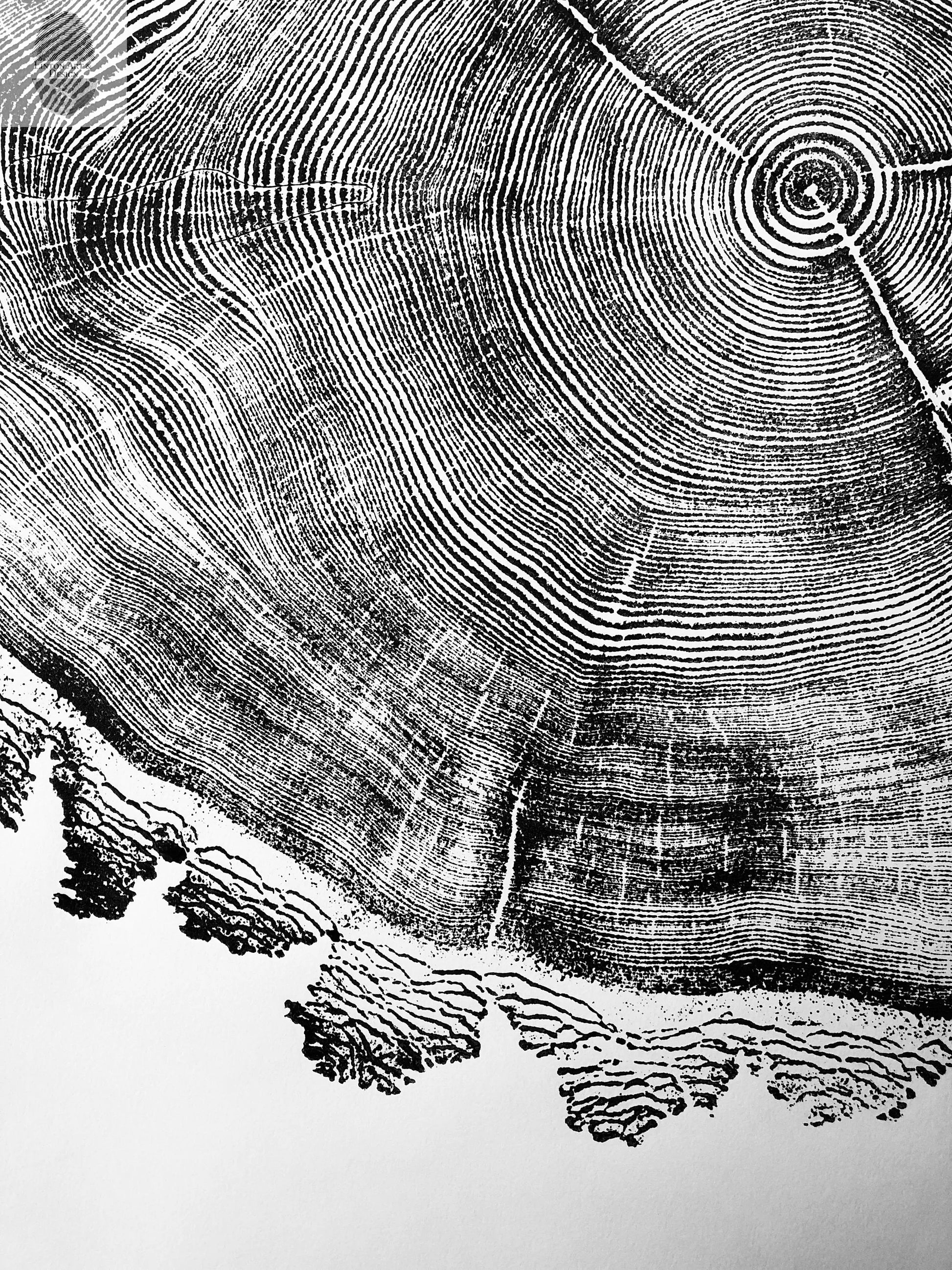 Utah Art, Tree Ring Print, Ski Art, Lumber, Shabby Tree, Wood Slice Wall Art, Natural Wood Slices lintonart