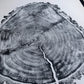 Utah Art, Tree Ring Print, Ski Art, Lumber, Shabby Tree, Wood Slice Wall Art, Natural Wood Slices lintonart