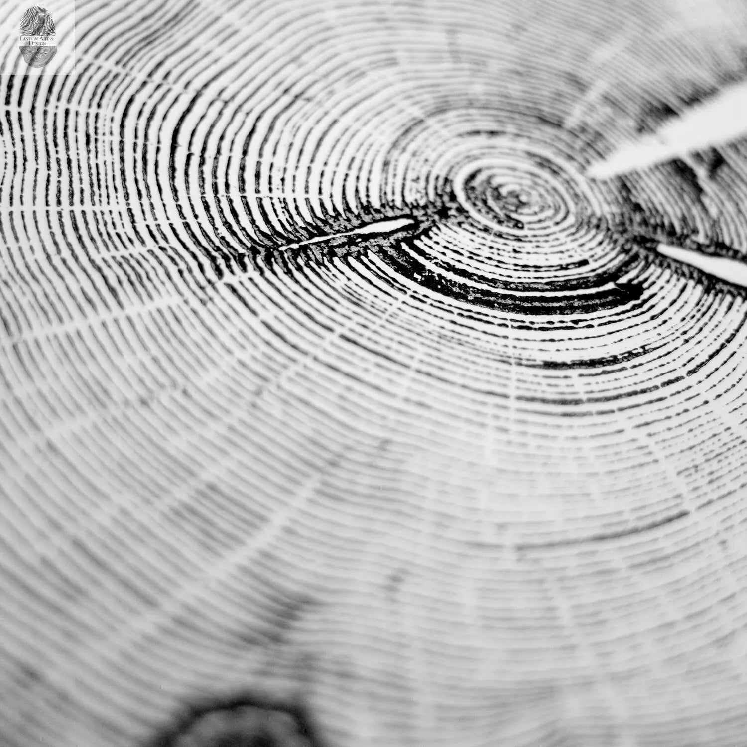 Utah Art, Tree Ring Print, Woodcut print, Woodworker, Ski Art, Snowbird, Wood Slice wall art - 18x24 print lintonart