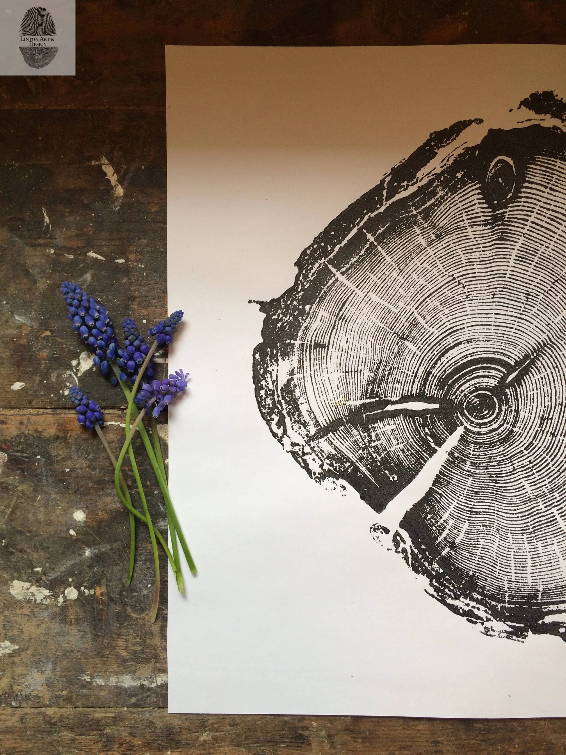 Utah Art, Tree Ring Print, Woodcut print, Woodworker, Ski Art, Snowbird, Wood Slice wall art - 18x24 print lintonart