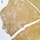 Utah Locust Tree in Gold Ink - 36x48 print lintonart
